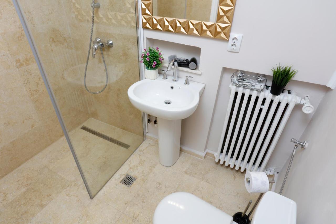 Grand Phillip Cismigiu Park Downtown Bucharest Apartment ภายนอก รูปภาพ